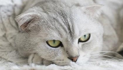 九游体育官网入口-西甲战斗激烈，球员反馈赛后感受，西甲战果