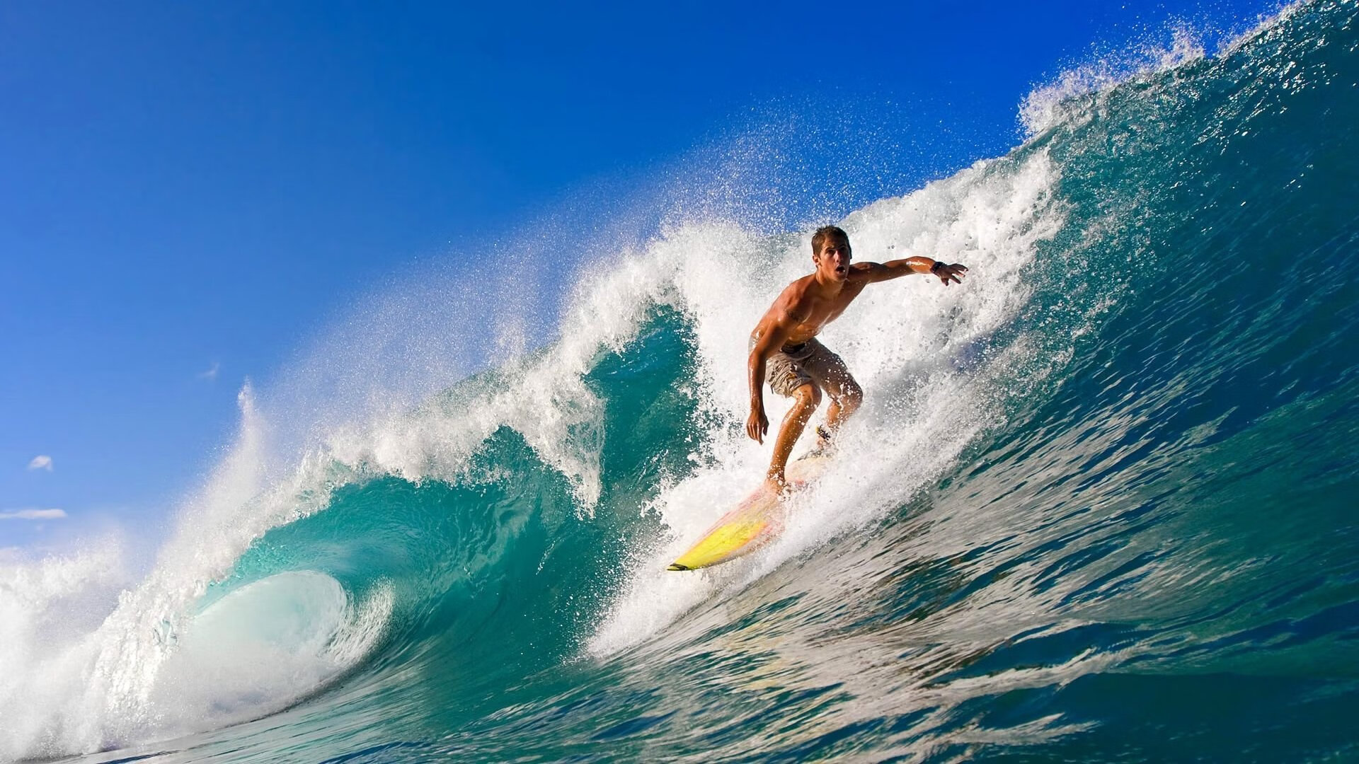 九游体育官网入口-球迷投票：年度最令人振奋的瞬间你心中哪一幕？，球迷的疯狂举动